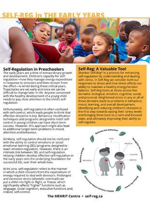 Self-regulation in the early years - Fact sheet