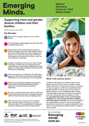 Supporting trans and gender diverse children and their families - Guide