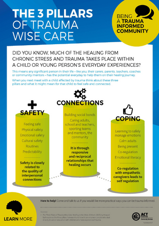 Three pillars of trauma wise care - poster